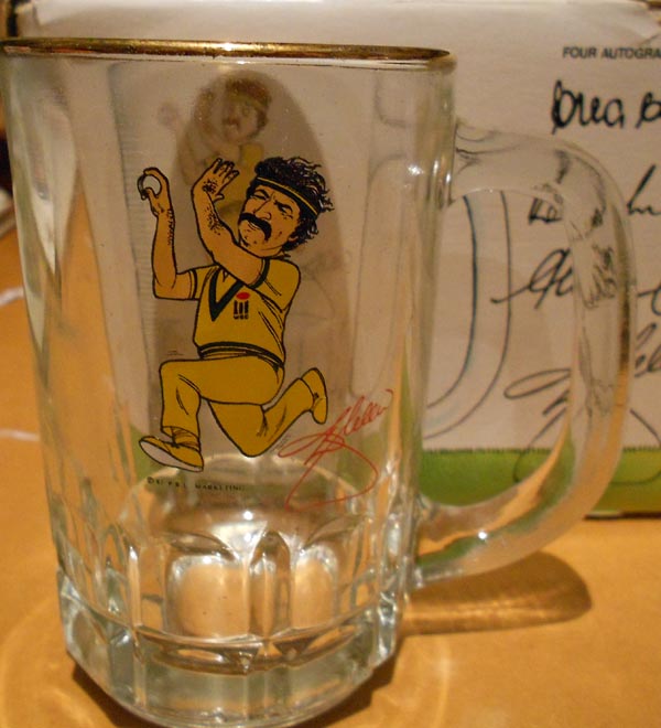 WSC Presentation Glasses